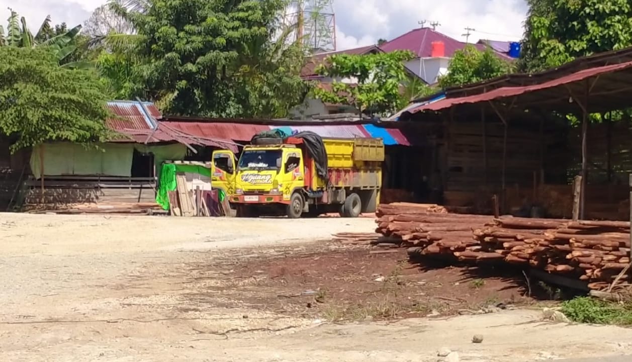 Awak Media: Perwakilan Pengusaha Kayu Olahan (DANIEL) Dinilai Berbohong Mengenai Pengakuannya Terkait Sumber Kayu Olahan yang Ada di Penampungan Kayu Miliknya