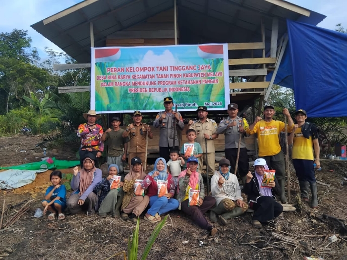 Penanaman Jagung di Desa Bina Karya: Kolaborasi Kelompok Tani Tinggang Jaya dan Muspika Tanah Pinoh Dukung Ketahanan Pangan Nasional.(Foto: Polsek Kota Baru)