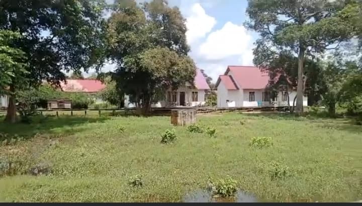 Kawasan proyek Food Estate di Dusun Panca Karya, Desa Pesaguan Kanan, Kecamatan Matan Hilir Selatan terpantau sepi. Kini kasus dugaan korupsi dalam proyek tersebut ditangani Polda Kalbar. (Foto/Ist)